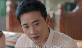 电视剧归去来大结局,命运交织，终章揭秘，爱恨情仇终成空